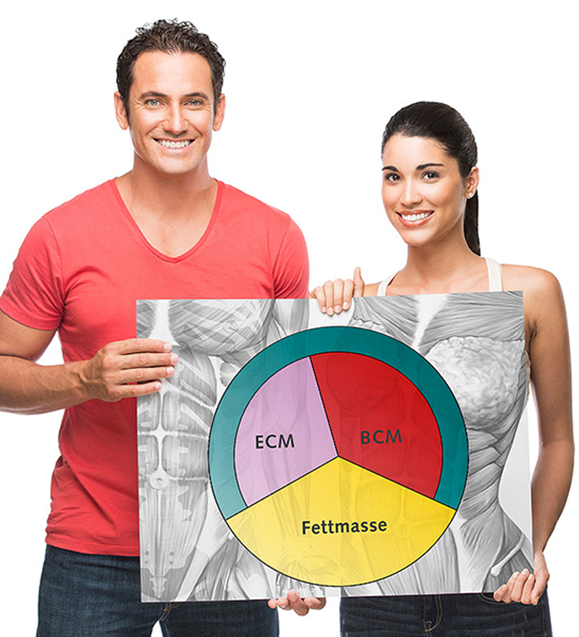 Body Composition Analysis